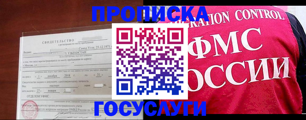 временная регистрация поиск в Долгопрудном