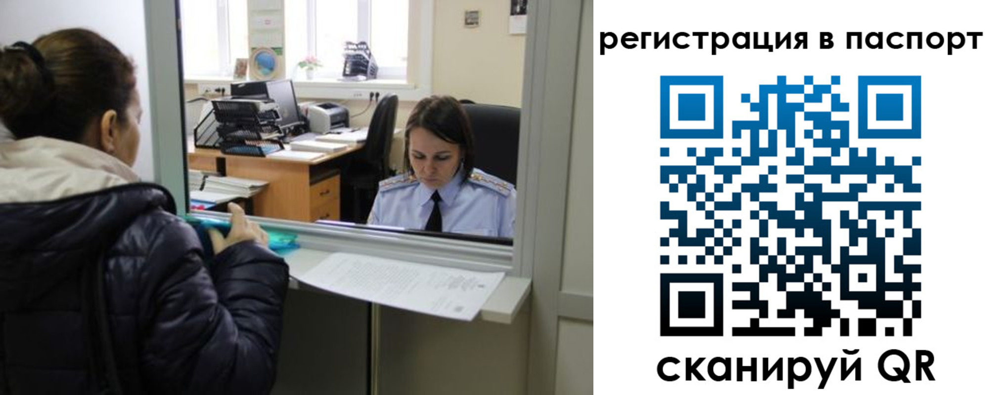 временная регистрация поиск в Долгопрудном